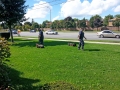 k-9-search-and-resuce-demonstration-05