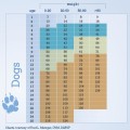Age Chart Dogs