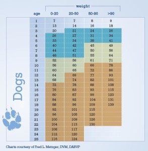 Age Chart Dogs