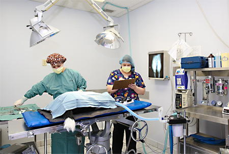 Anesthesia and Patient Monitoring