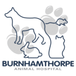 Burnhamthorpe Animal Hospital