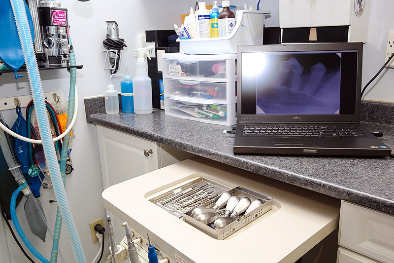 Dental Suite