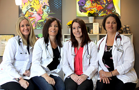 Veterinarian Team at Burnhamthorpe Animal Hospital