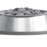 Dog Food Bowl