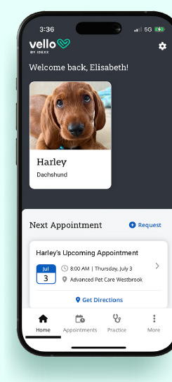Vello Mobile App