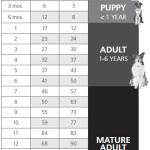 How Old is your Pet?